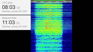 The Buzzer/UVB-76(4625Khz) January 28th, 2023 08:02UTC Voice message