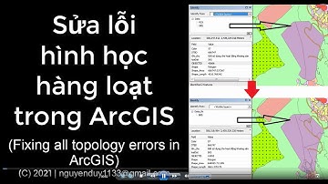 [ArcGIS] Sửa lỗi hình học hàng loạt, tự động (Fixing all topology errors)