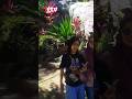Umbul Nogo Manyaran#igtv #shots #wisata #destinasiwisata #manyaran