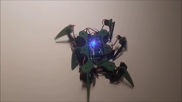 AranaCorp - hexana basic movements