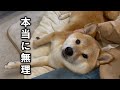 ショックすぎる出来事がありました
