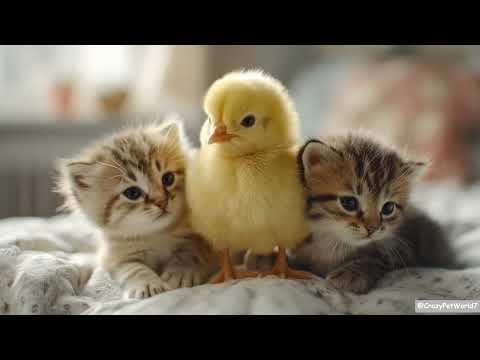 You Won’t Believe This Adorable Kitten And Chick Trio 🌟✨
