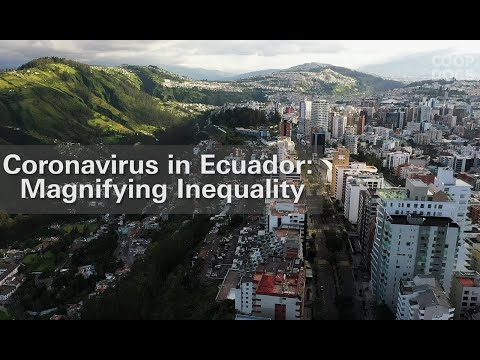 Coronavirus in Ecuador: Magnifying Inequality - Rosa Luxemburg Stiftung Andean Regional Office