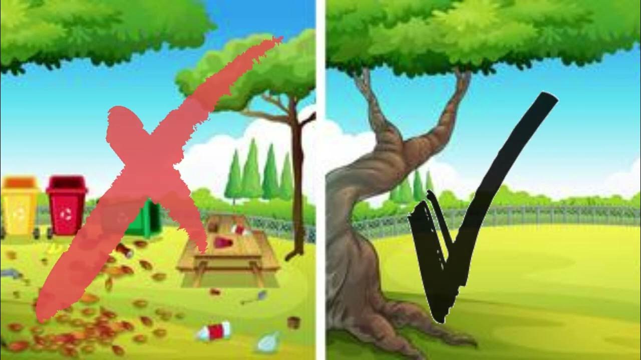 Clean and Dirty Environment YouTube