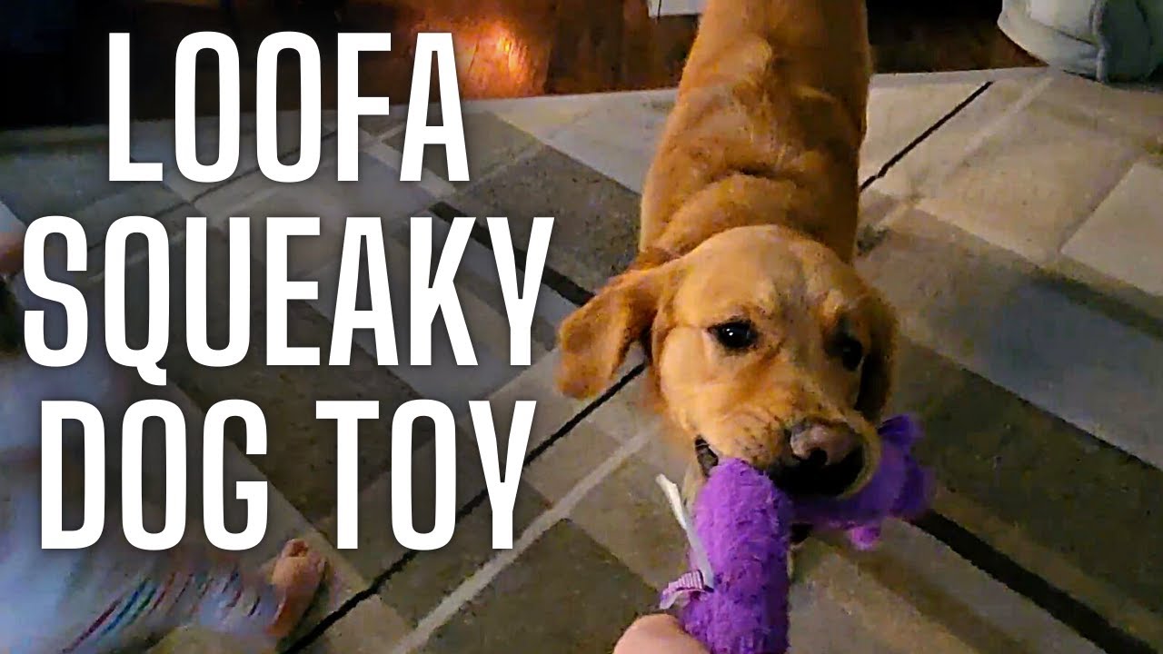 Loofa Dog 18" Plush Dog Toy