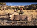 Chad Mendes' CO Public Land Giant!! | MULE DEER