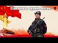 Стрелковое оружие армии Китая