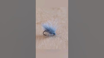 CDC Caddis Fly Tying