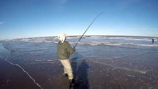 Pesca de Tiburon Cazon
