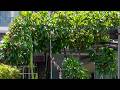Collection O Kuta Near Airport Ngurah Rai, Tuban, Indonesia | Travel With Dhruvika