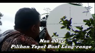 Hammer X Pergam Papua, Rica Punai Dan Pergam Di Spot.