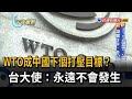 WTO成中國下個打壓目標？台大使：永遠不會發生－民視新聞
