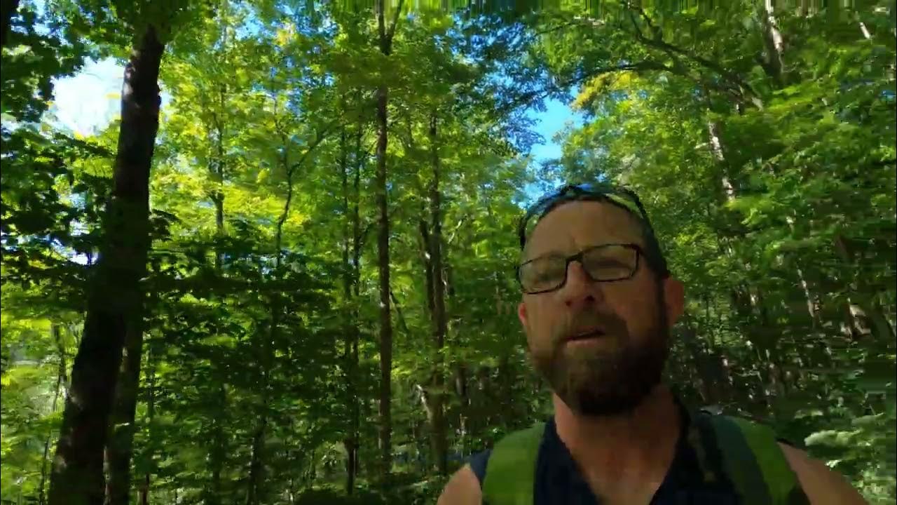 McIntyre Wild Area. Rock Run YouTube