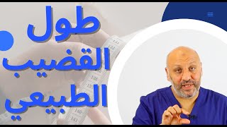 الحلقة (١٧ ) الحجم  أو الطول الطبيعي للعضو الذكري