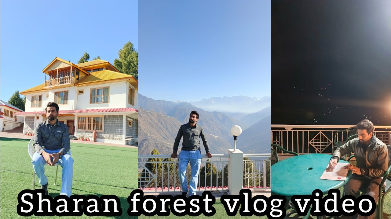Sharan forest new vlog video // new updates sharan forest 15 December 2025 // 