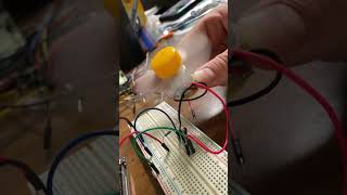 Jackson Woolwine DC Motor Control