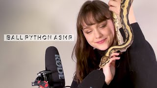 ASMR with my Ball Python 🐍 Slithering On The Microphone - Soft Spoken