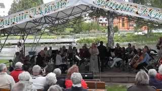 Thank You For The Music