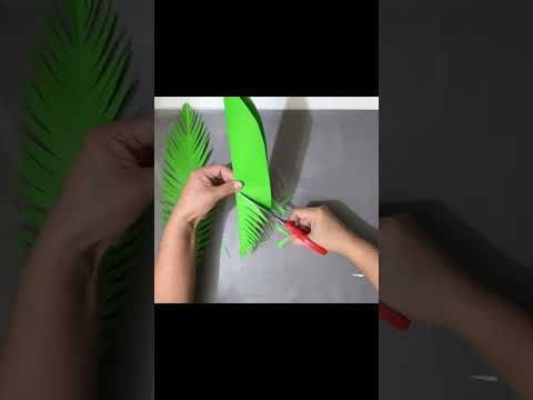 Video: Saago palmi lehed langevad – närbuvate saagopalmi taimede tõrkeotsing