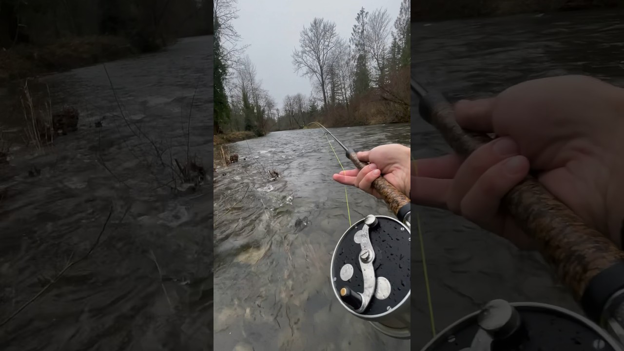 POV: You’re Swinging Flies for Winter Steelhead in the PNW