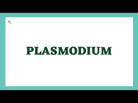 Malarial Parasite | Plasmodium Life cycle | Lab diagnosis | Morphology | Parasitology | MEDZUKHRUF