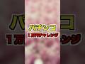 パチンコ１万円チャレンジ #パチンコ#リゼロ #カシコch