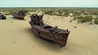 Re-greening Uzbekistan's desertified Aral Sea region