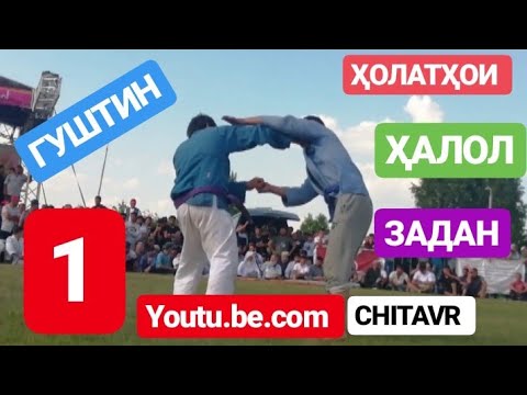 ГӮШТИН - 2019|| ҲОЛАТҲОИ ҲАЛОЛ ЗАДАН(CHITAVR?)