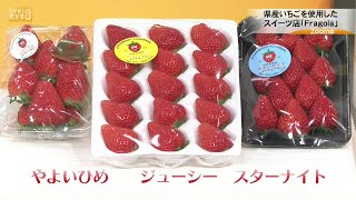 【ズームｅｙｅ】群馬県産いちごを使用したスイーツ店「Fragola」