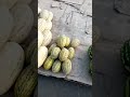 Алтын орда арбуз қауын базар