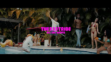 ‘ALL SHE WANTS’ - the333tribe - (prod by. prodbybabz)