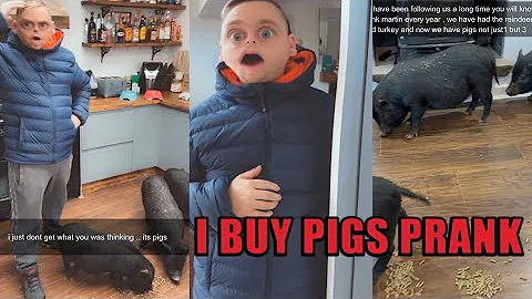 I Pranked him with pigs in the house  his reaction