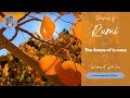 Seasons of Rumi - “The Sense of Is-ness" - (In Persian and English)