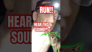 If You Hear Coyotes Laughing, Get Inside NOW!!