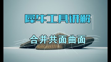 Rhino 犀牛命令工具操作详解课程11-07合并共面曲面  PlanarUnion