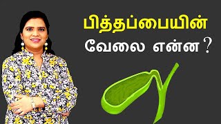 Gallbladder Explained in Tamil