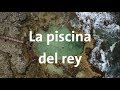 Isla contoy y la piscina del rey | Alan por el mundo