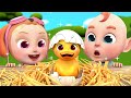 Baby Duck Egg Story | Old MacDonald Farm Song | Rosoo Kids Songs &amp; Nursery Rhymes
