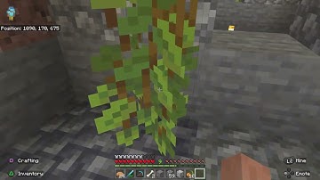 Part 26, The Worlds Largest Minecraft Building and Maze, one level at time.  Level 22.