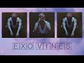 EXO vines that call me baby