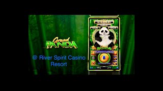 Why Grand Panda 🐼 is a Must-Play Slot Game! 🎰 Huge Win Potential! #slot #bonusfeature #casino