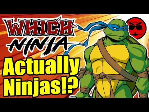 Which Ninja Turtle Are You Currently