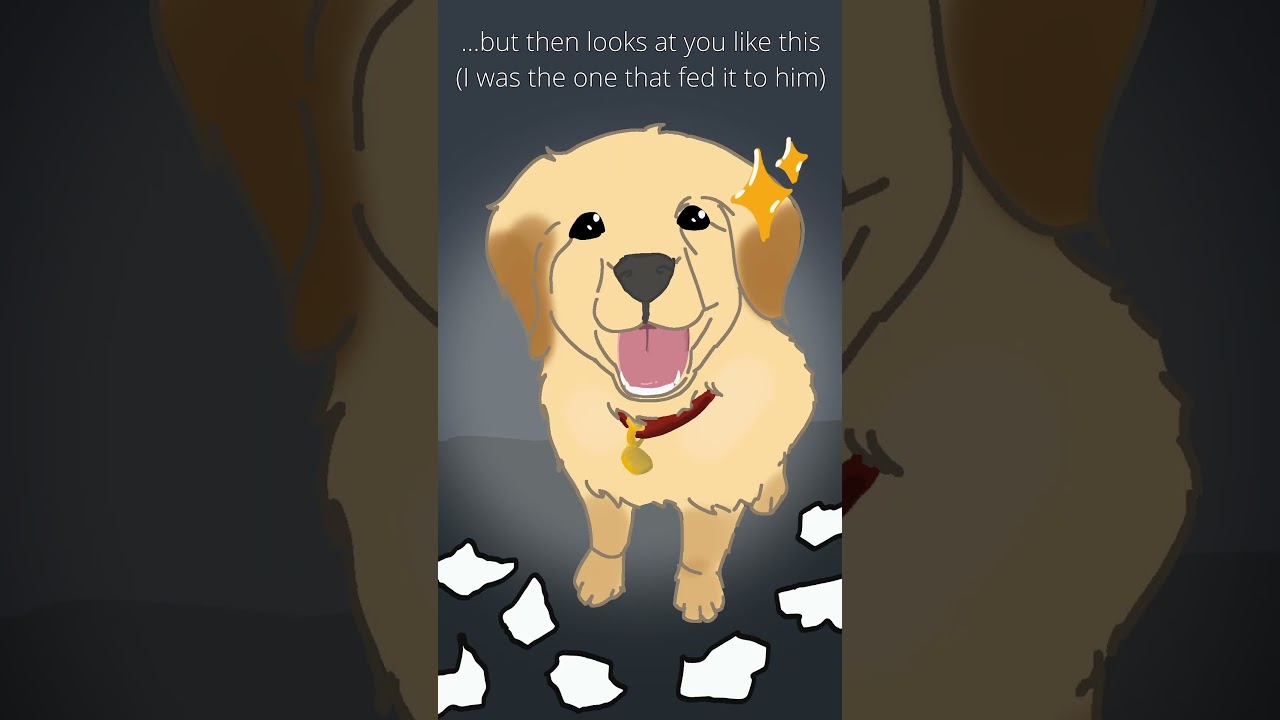 My dog literally ate my homework  #funny #animation #dog #cute