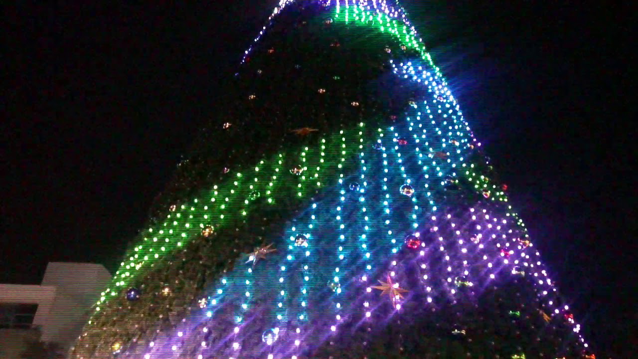 Hamilton City Christmas Tree (2019) YouTube