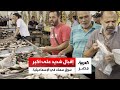 إقبال شديد على أكبر سوق سمك في الإسماعيلية بعد مبادرة التخفيضات في الأسعار