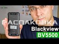 Blackview BV5500 - Распаковка и первое впечатление от смартфона с IP68 за $100