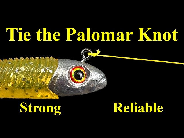 a fly fishing lure Virginia's Ten Best Bass Flies Assortment
