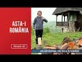 Asta-i Romania (26.05.2019) - Povestea romanilor care vin saptamanal din Italia in Romania!