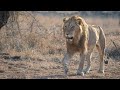 Young Othawa Male - The Journey Begins