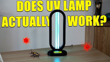 Haloclean UV Light Review - Does This UV Sanitizer Actually Work?